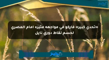 «تحدي كبير» فاركو في مواجهة مثيرة أمام المصري لحسم نقاط دوري نايل